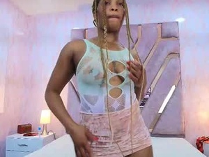 Screenshot from aurorabrow webcams