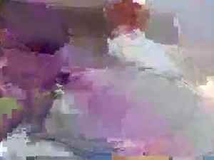 Screenshot from aussie1955 webcams