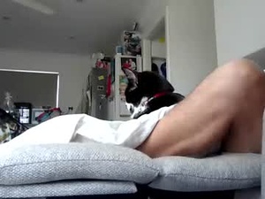 Screenshot from aussie_ozzie webcams