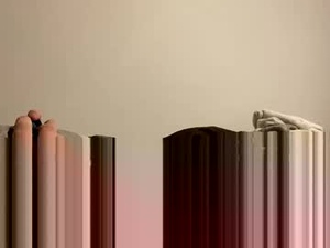 Screenshot from austenday441 webcams