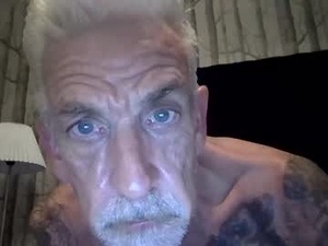 Screenshot from authorised1 webcams
