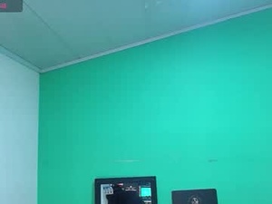 Screenshot from avalericherrymar webcams