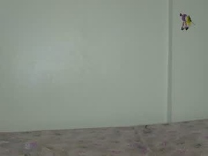 Screenshot from avance_deoro webcams