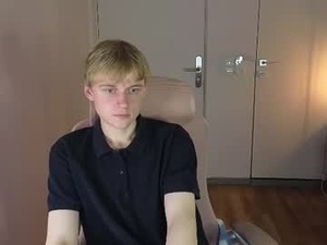 Screenshot from avenrey webcams