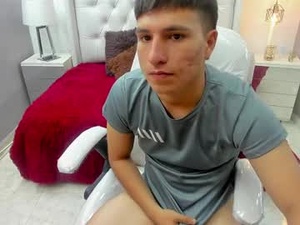 Screenshot from axel_voss webcams