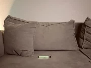 Screenshot from baby_claude webcams