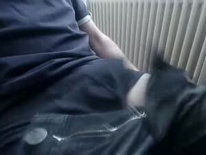Screenshot from backfromashes webcams