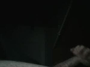 Screenshot from bananayesjo webcams