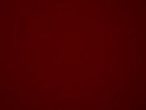 Screenshot from barryallen2017 webcams