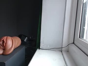 Screenshot from bbc_sim webcams