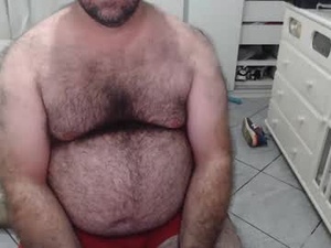 Screenshot from beastbearmg webcams