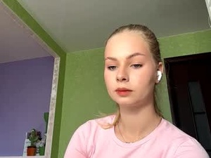Screenshot from beemeske webcams