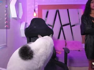 Screenshot from bella_miller1 webcams