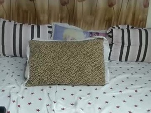 Screenshot from belunay webcams