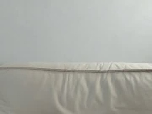 Screenshot from berneicebiven webcams