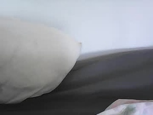 Screenshot from bfejes webcams