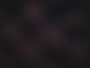 Screenshot from billbrasskey4200 webcams