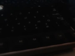 Screenshot from bionicski56 webcams