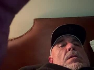 Screenshot from bird70 webcams