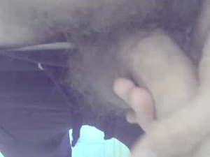 Screenshot from bitlierius webcams