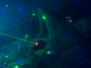 Screenshot from blassiuss webcams