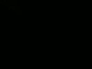 Screenshot from blindsurfer780299 webcams