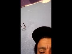 Screenshot from blue17562 webcams