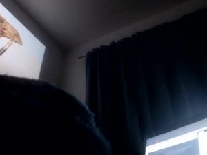 Screenshot from bluegoy12333 webcams