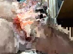 Screenshot from bo0bo22 webcams
