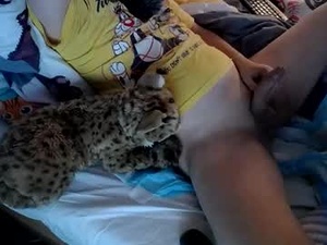 Screenshot from bobkitty webcams