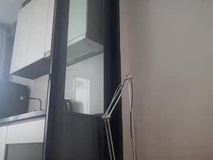 Screenshot from borkaa777 webcams