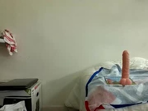 Screenshot from bounsse webcams