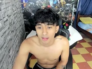 Screenshot from bracth webcams