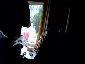 Screenshot from bradysboy webcams