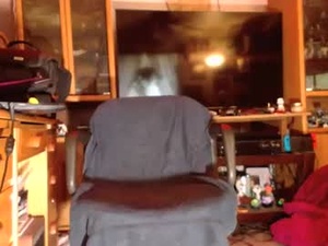 Screenshot from brandibme2 webcams