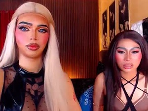 Screenshot from brattzvenice webcams