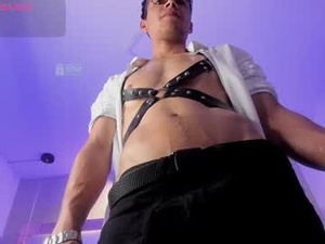 Screenshot from briam_hornet_ webcams
