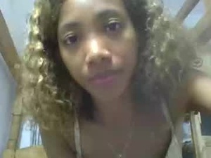 Screenshot from brindagial webcams