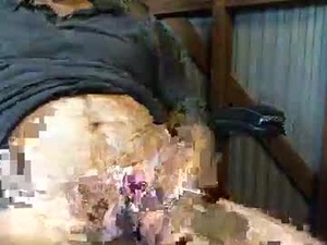 Screenshot from brissyman101 webcams