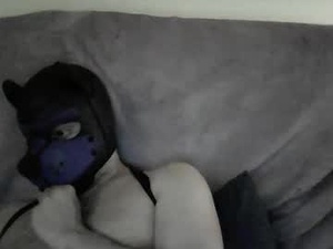 Screenshot from broccothepup webcams