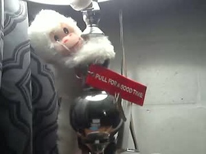 Screenshot from brockjohnson696969 webcams