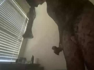Screenshot from bruce139 webcams