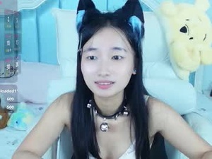 Screenshot from bulandell webcams