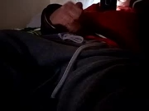 Screenshot from bullspain27266272 webcams