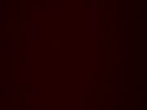 Screenshot from buzzen72 webcams