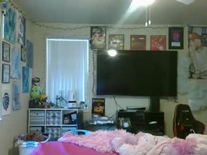 Screenshot from calypsokm webcams