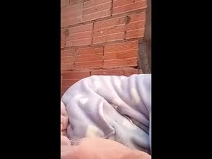 Screenshot from cami437835 webcams