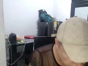 Screenshot from camipsthe webcams