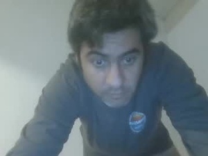 Screenshot from caravibugue webcams