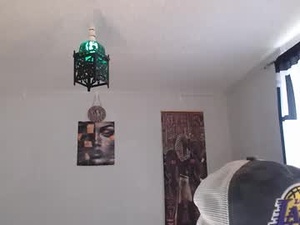 Screenshot from carltongisepo webcams